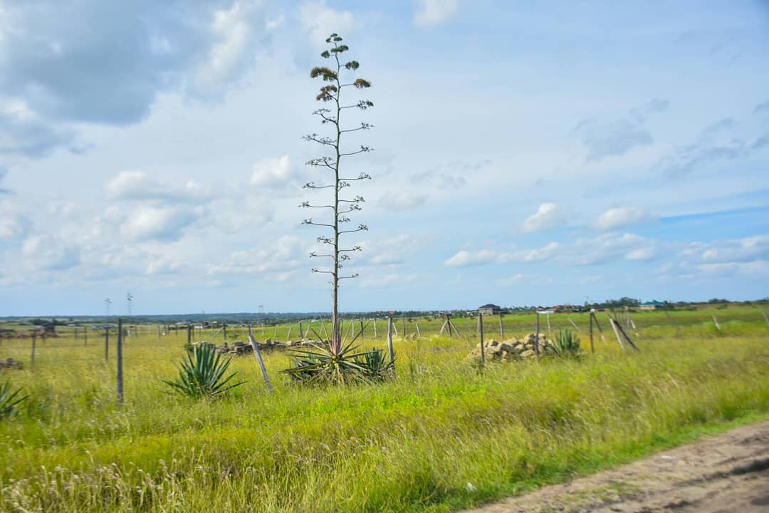 Additional property image