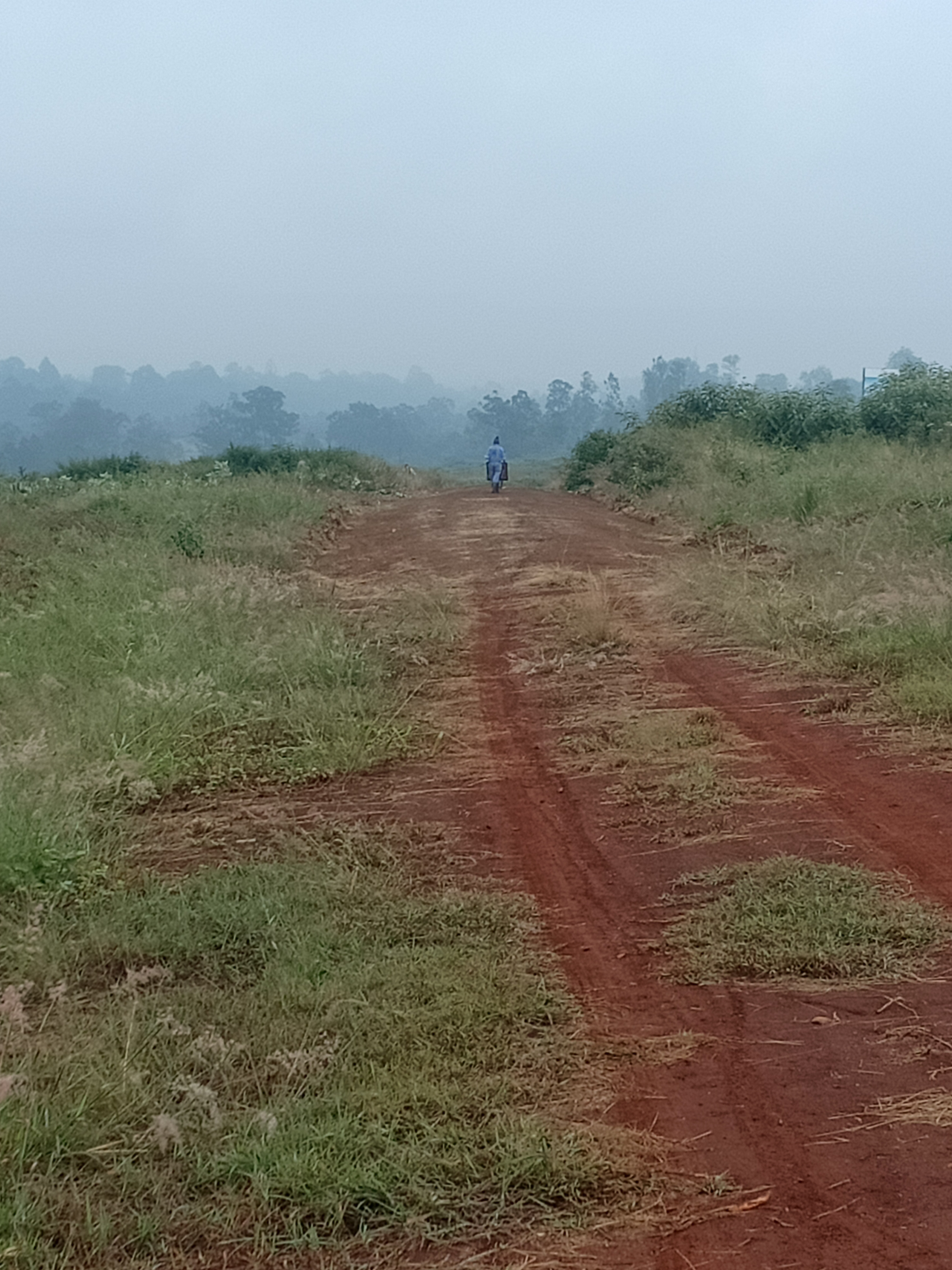 Additional property image