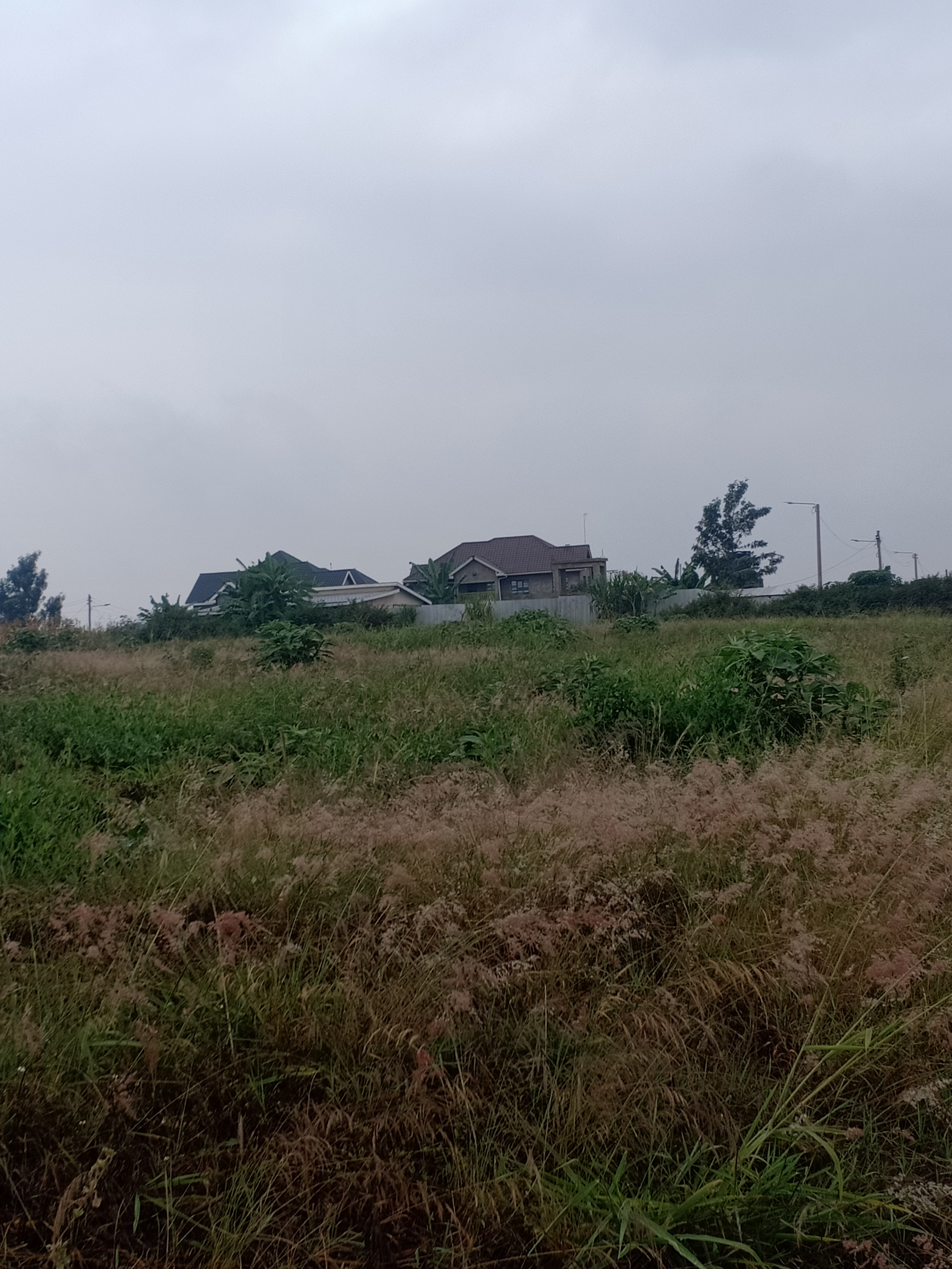 Additional property image