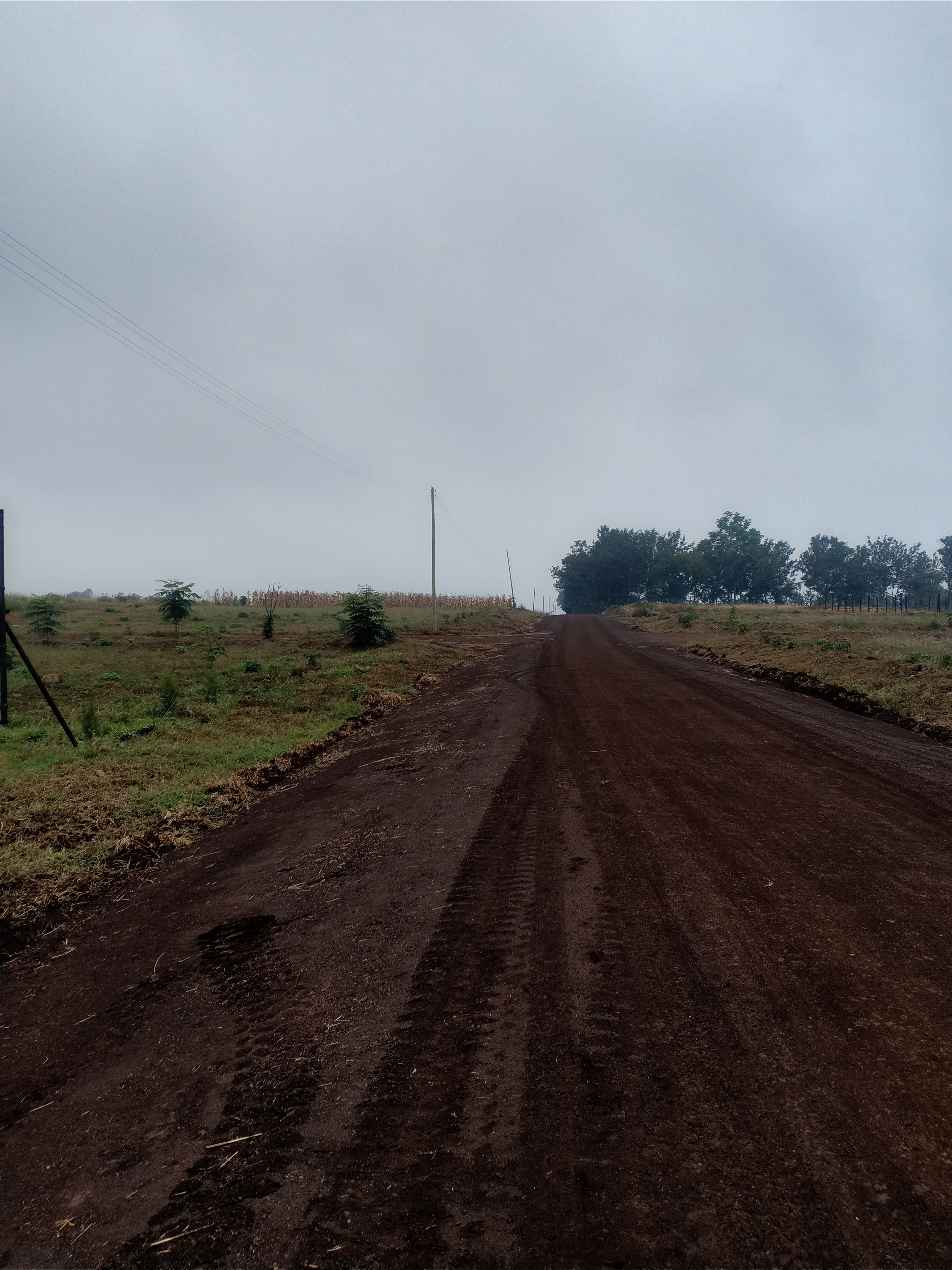 Additional property image