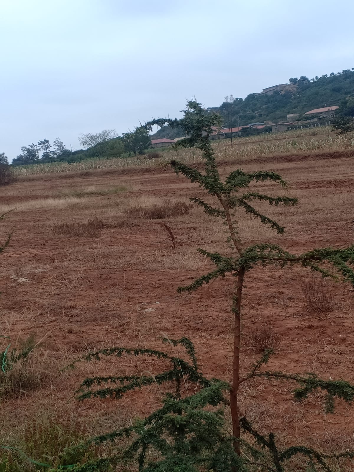 KYUMBI-MOMBASA ROAD