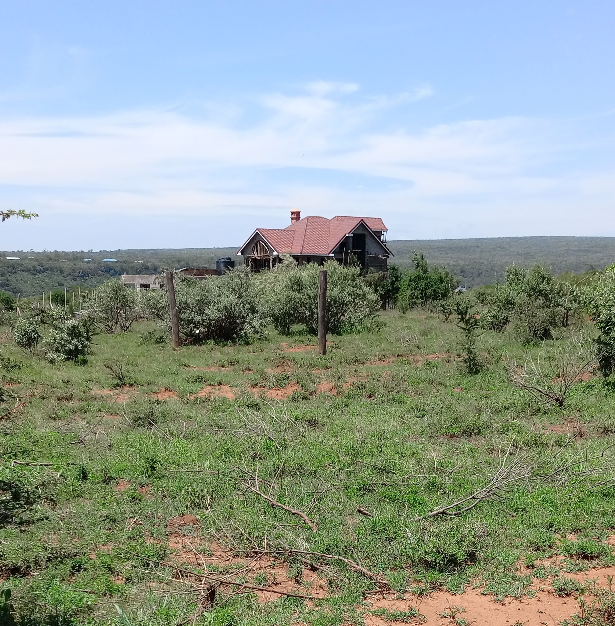 Ngong Kimuka