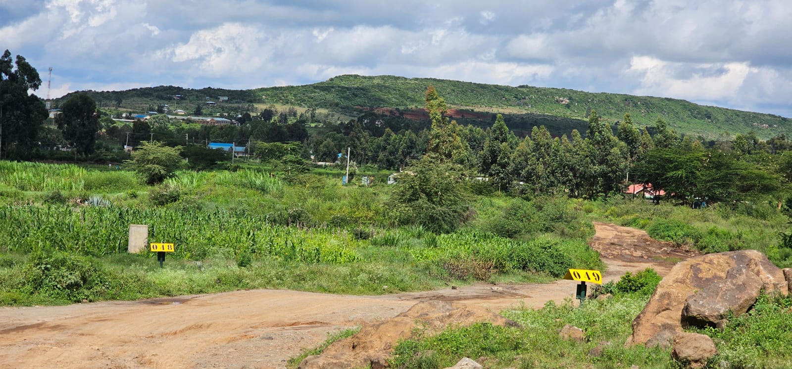 Nachu Ndeiya