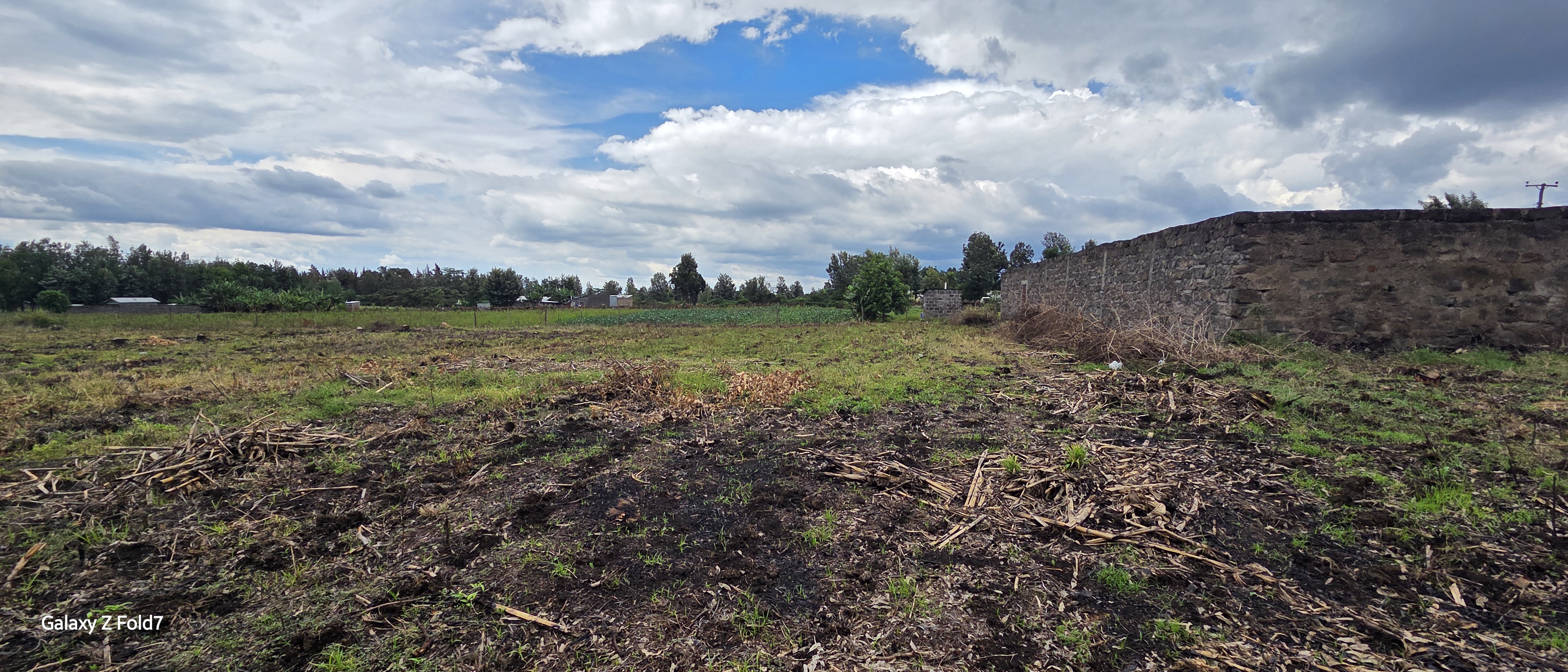 Kabarak Plots